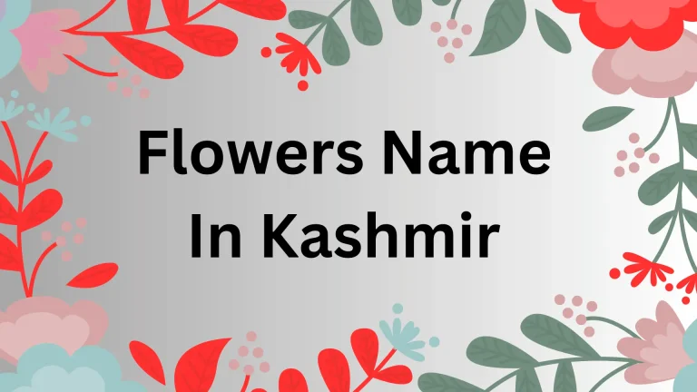Flowers Name In Kashmir
