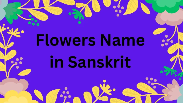 Flowers Name in Sanskrit