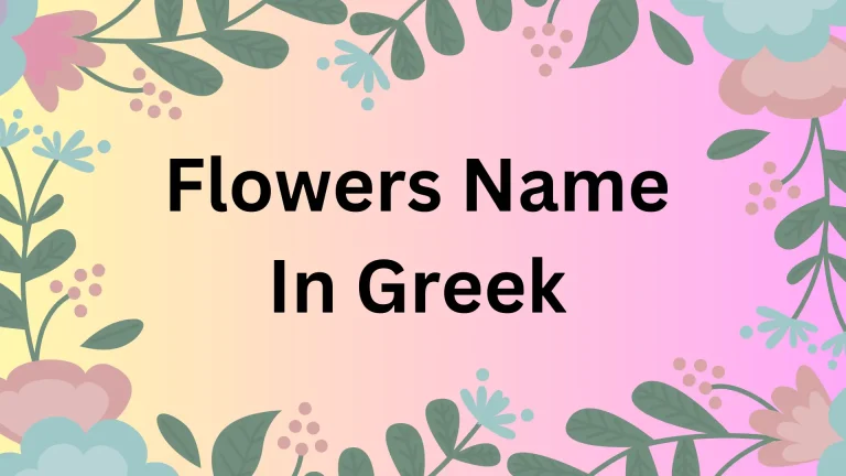 Flowers Name In Greek
