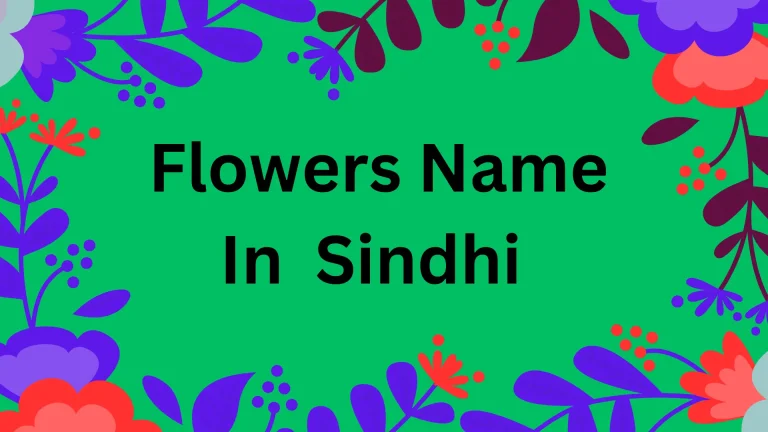 Flowers names in Sindhi