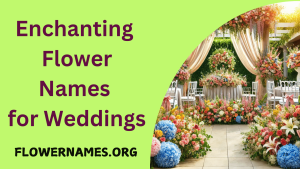 Enchanting Flower Names for Weddings