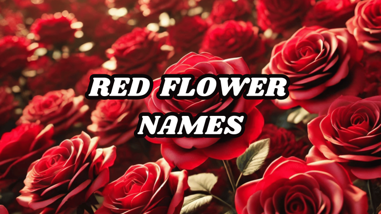 Red Flower Names