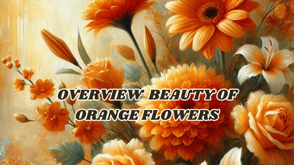 Overview  beauty of Orange flowers